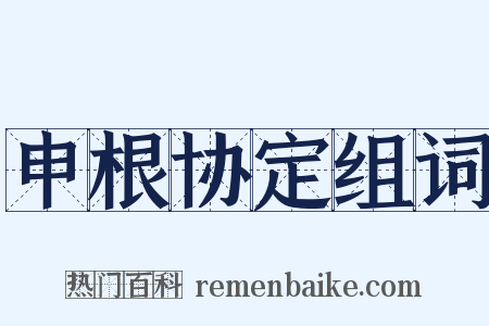 申根协定组词是什么意思的图片
